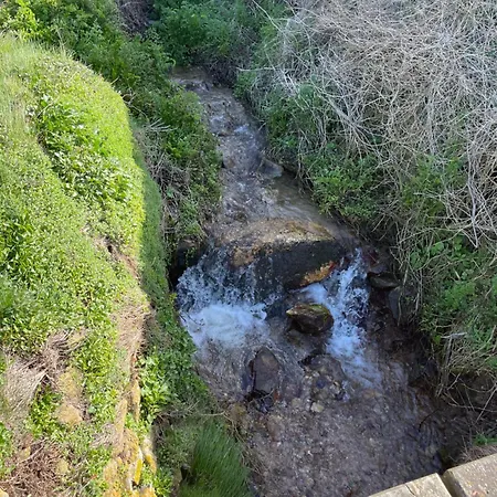 Au Milieu De La Hague, 5 Personnes