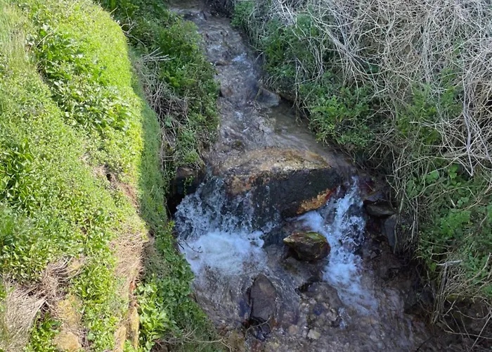 Au Milieu De La Hague, 5 Personnes
